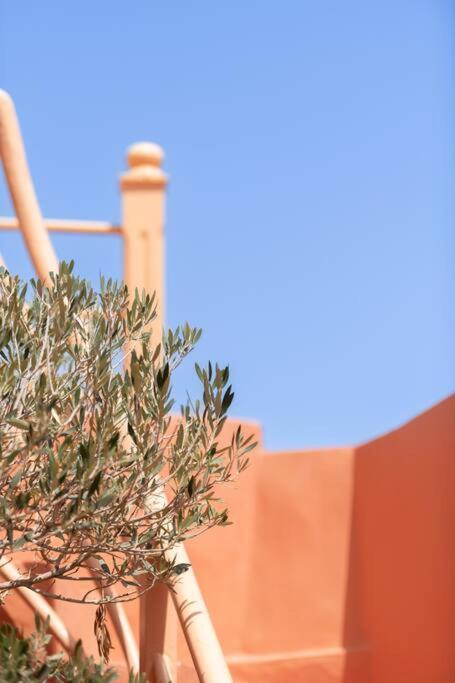 Riad Le Petit Bacha Marrakesch Exterior foto